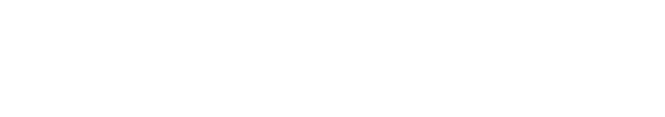 brava_consultancy_logo